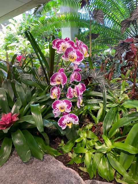 nature_2023-07-08 10.58.26-2023.jpg